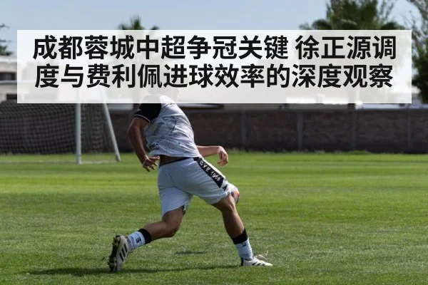 soccer striker shooting goal